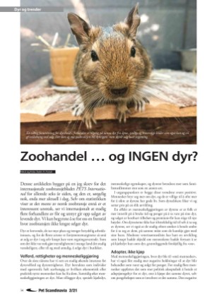 petscandinavia-20210615_002_00_00_034.pdf