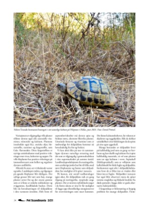 petscandinavia-20210915_003_00_00_024.pdf