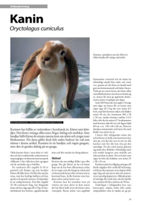 petscandinavia-20210915_003_00_00_029.pdf