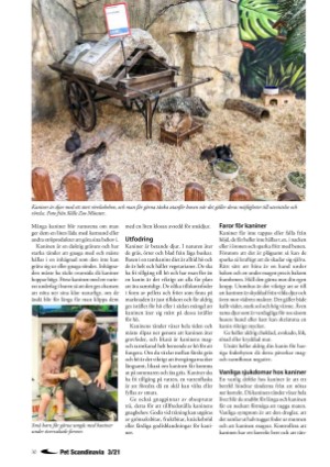 petscandinavia-20210915_003_00_00_030.pdf