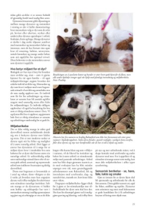 petscandinavia-20211215_004_00_00_025.pdf