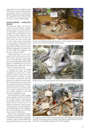 petscandinavia-20211215_004_00_00_027.pdf