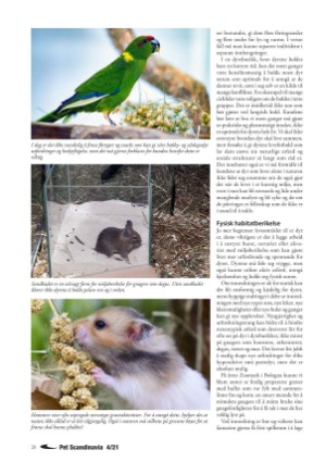 petscandinavia-20211215_004_00_00_028.pdf