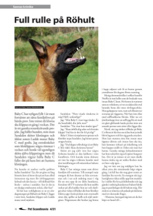 petscandinavia-20211215_004_00_00_036.pdf