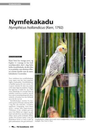 petscandinavia-20211215_004_00_00_038.pdf