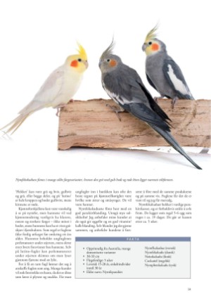 petscandinavia-20211215_004_00_00_039.pdf