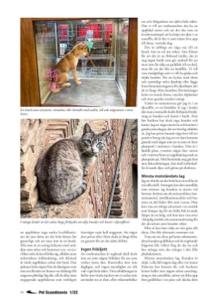 petscandinavia-20220315_001_00_00_014.pdf