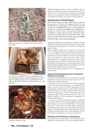 petscandinavia-20220315_001_00_00_022.pdf