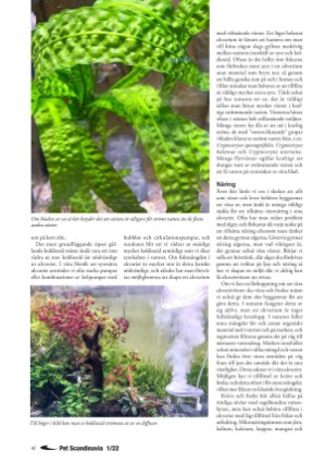 petscandinavia-20220315_001_00_00_040.pdf