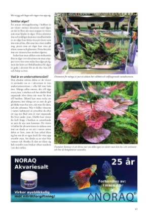 petscandinavia-20220315_001_00_00_043.pdf