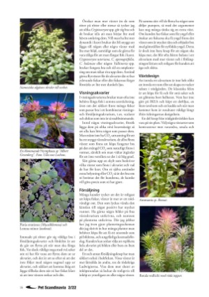 petscandinavia-20220615_002_00_00_016.pdf