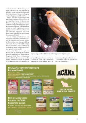 petscandinavia-20220915_003_00_00_031.pdf