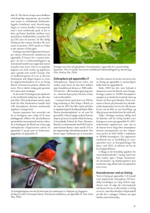 petscandinavia-20220915_003_00_00_041.pdf