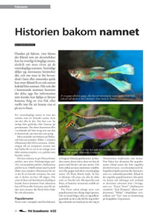 petscandinavia-20221215_004_00_00_020.pdf