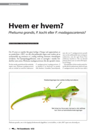 petscandinavia-20221215_004_00_00_026.pdf