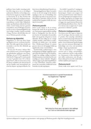 petscandinavia-20221215_004_00_00_027.pdf