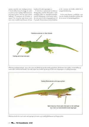 petscandinavia-20221215_004_00_00_028.pdf