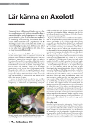 petscandinavia-20221215_004_00_00_042.pdf