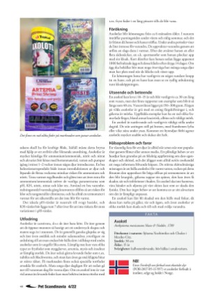 petscandinavia-20221215_004_00_00_044.pdf