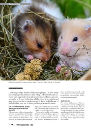 petscandinavia-20230315_001_00_00_014.pdf