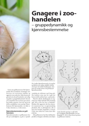 petscandinavia-20230315_001_00_00_015.pdf