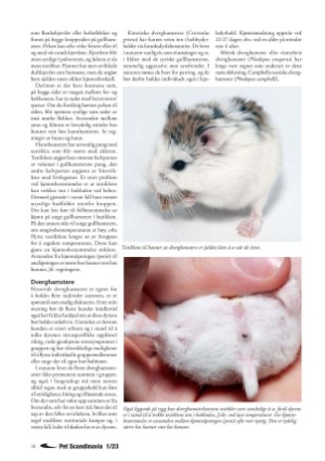 petscandinavia-20230315_001_00_00_016.pdf