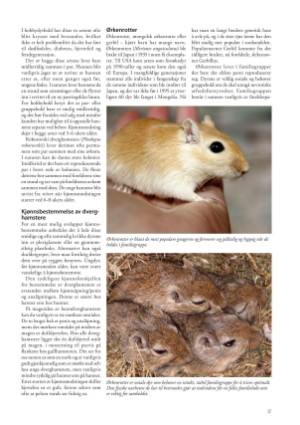 petscandinavia-20230315_001_00_00_017.pdf
