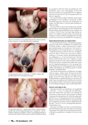 petscandinavia-20230315_001_00_00_018.pdf