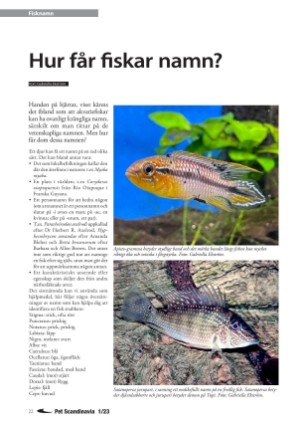 petscandinavia-20230315_001_00_00_022.pdf