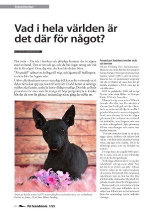 petscandinavia-20230315_001_00_00_024.pdf
