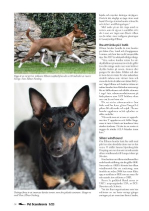 petscandinavia-20230315_001_00_00_026.pdf