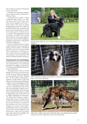 petscandinavia-20230315_001_00_00_027.pdf
