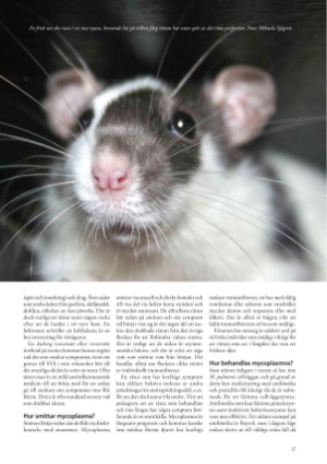 petscandinavia-20230615_002_00_00_017.pdf