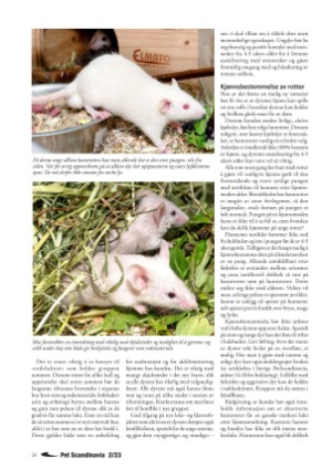 petscandinavia-20230615_002_00_00_026.pdf