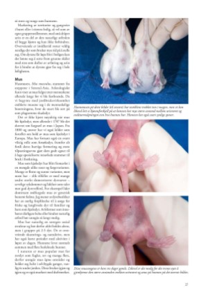 petscandinavia-20230615_002_00_00_027.pdf