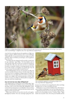 petscandinavia-20230915_003_00_00_021.pdf