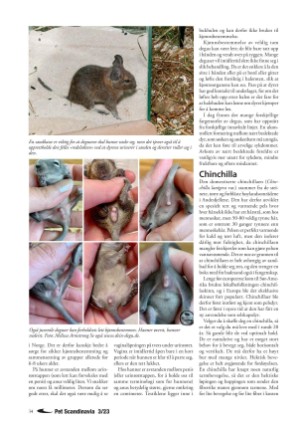 petscandinavia-20230915_003_00_00_034.pdf