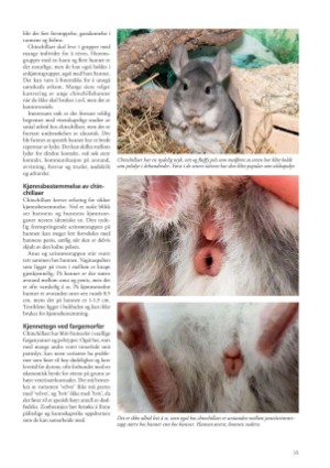 petscandinavia-20230915_003_00_00_035.pdf