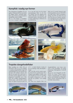 petscandinavia-20230915_003_00_00_044.pdf