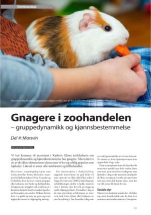 petscandinavia-20231215_004_00_00_023.pdf