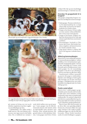 petscandinavia-20231215_004_00_00_024.pdf