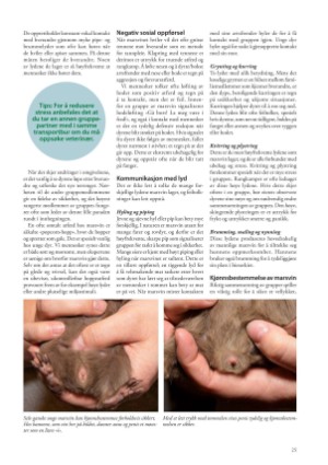 petscandinavia-20231215_004_00_00_025.pdf