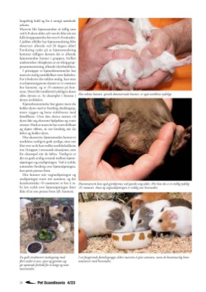 petscandinavia-20231215_004_00_00_026.pdf