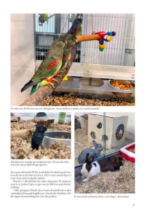 petscandinavia-20231215_004_00_00_035.pdf