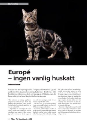 petscandinavia-20231215_004_00_00_040.pdf