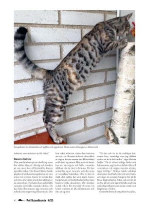 petscandinavia-20231215_004_00_00_042.pdf