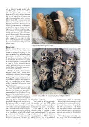 petscandinavia-20231215_004_00_00_043.pdf