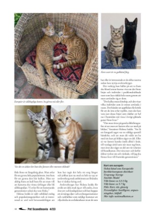 petscandinavia-20231215_004_00_00_044.pdf