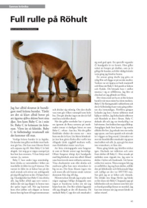 petscandinavia-20231215_004_00_00_045.pdf