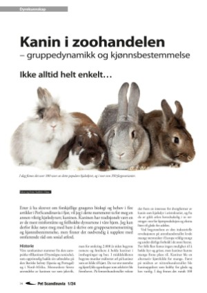 petscandinavia-20240305_001_00_00_014.pdf